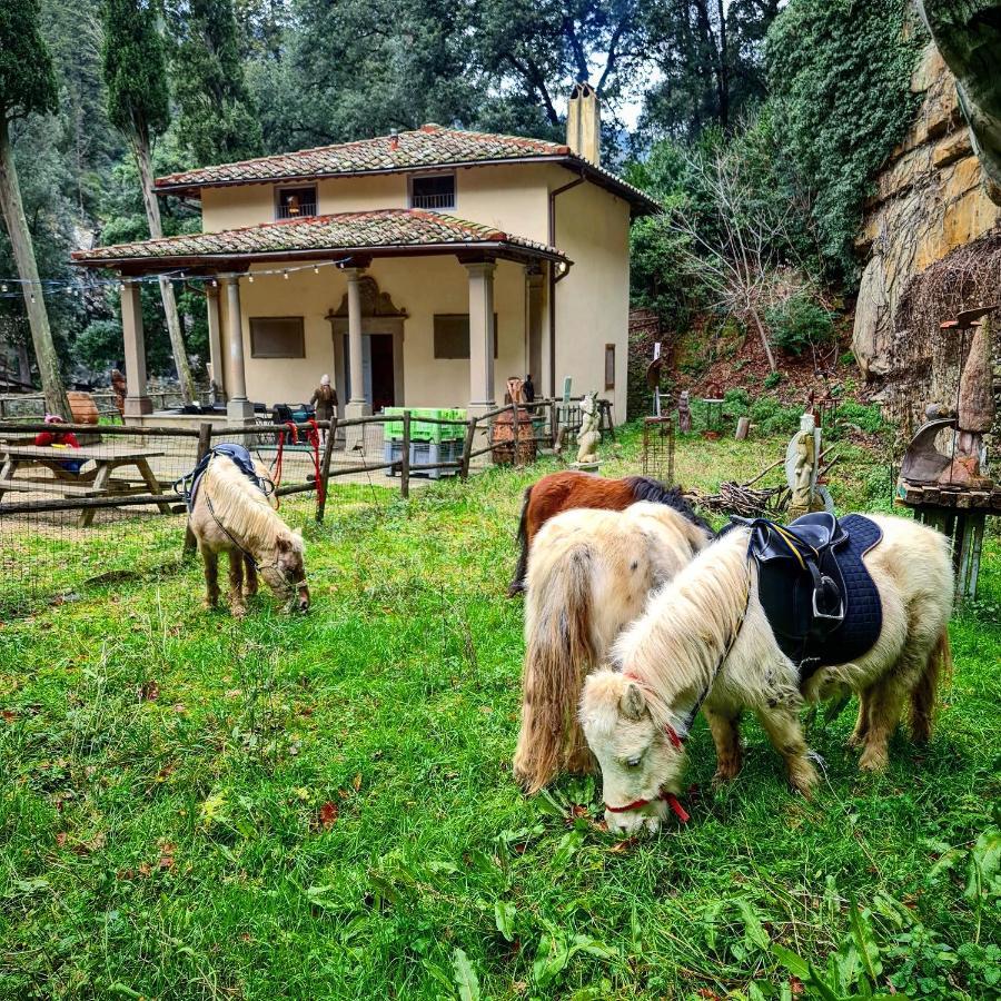 פייזולה Agriturismo Fattoria Di Maiano מראה חיצוני תמונה