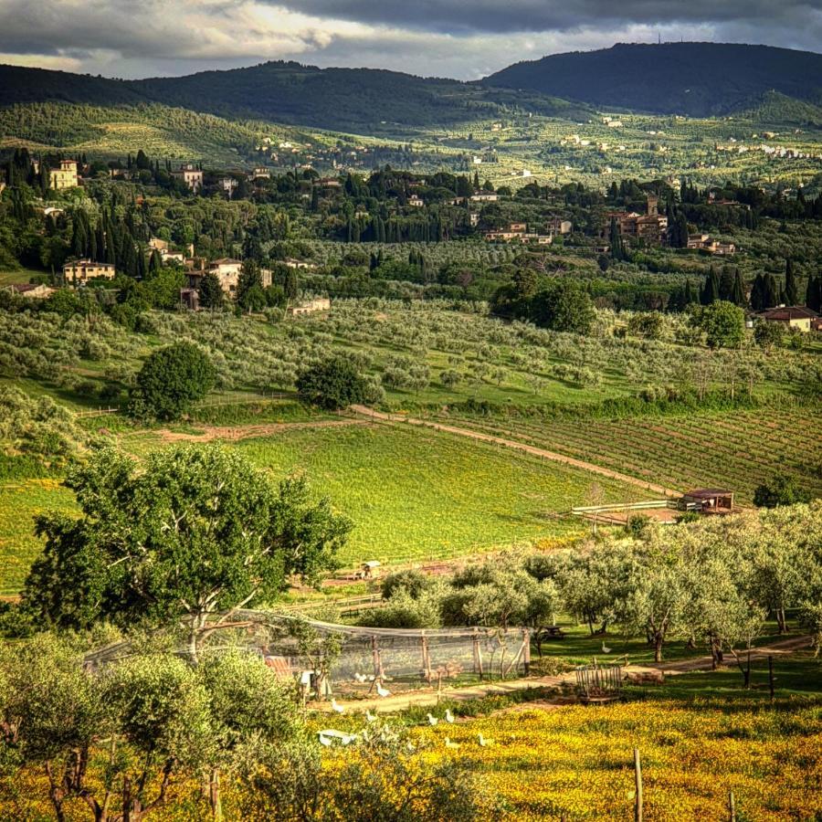 פייזולה Agriturismo Fattoria Di Maiano מראה חיצוני תמונה