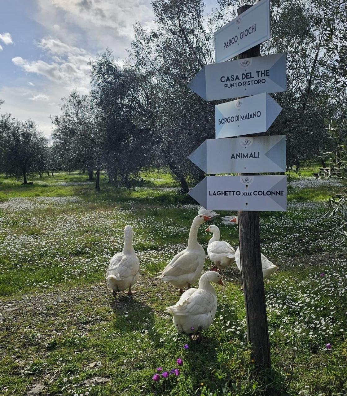 פייזולה Agriturismo Fattoria Di Maiano מראה חיצוני תמונה