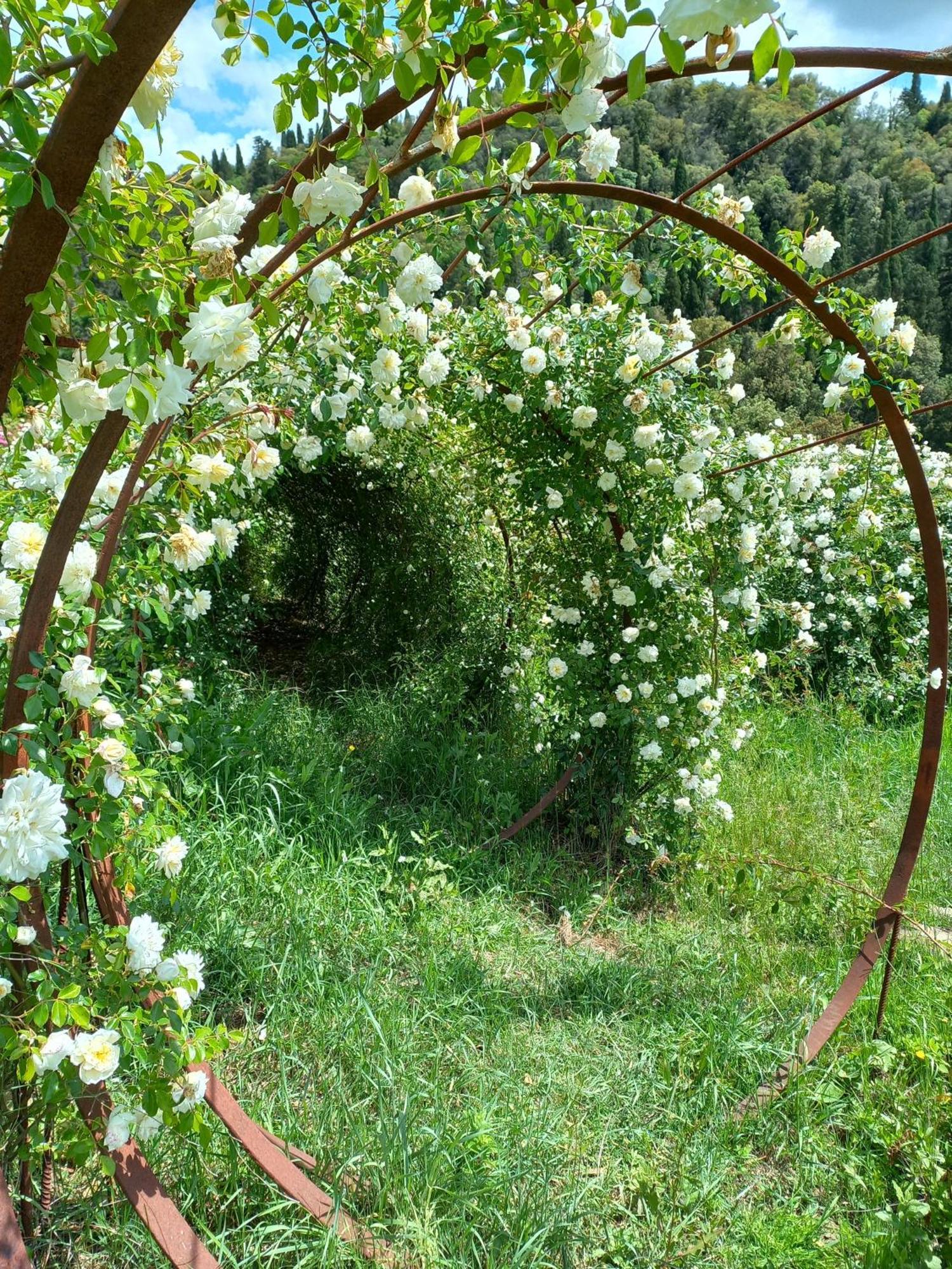 פייזולה Agriturismo Fattoria Di Maiano מראה חיצוני תמונה