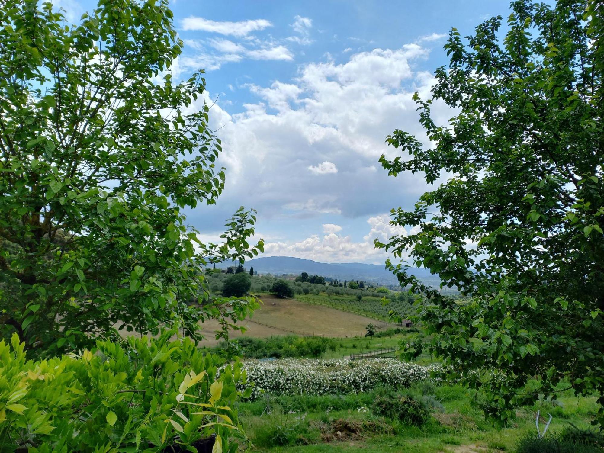 פייזולה Agriturismo Fattoria Di Maiano מראה חיצוני תמונה