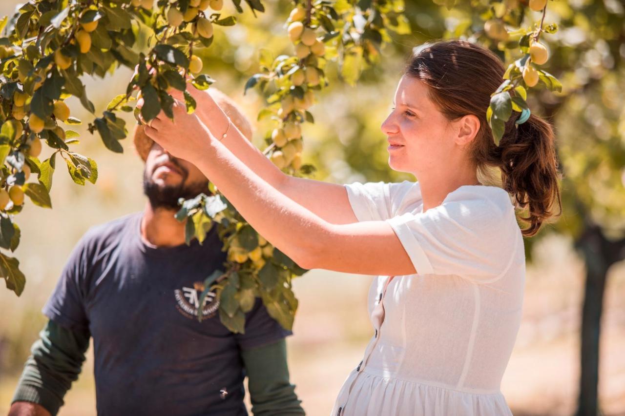 פייזולה Agriturismo Fattoria Di Maiano מראה חיצוני תמונה