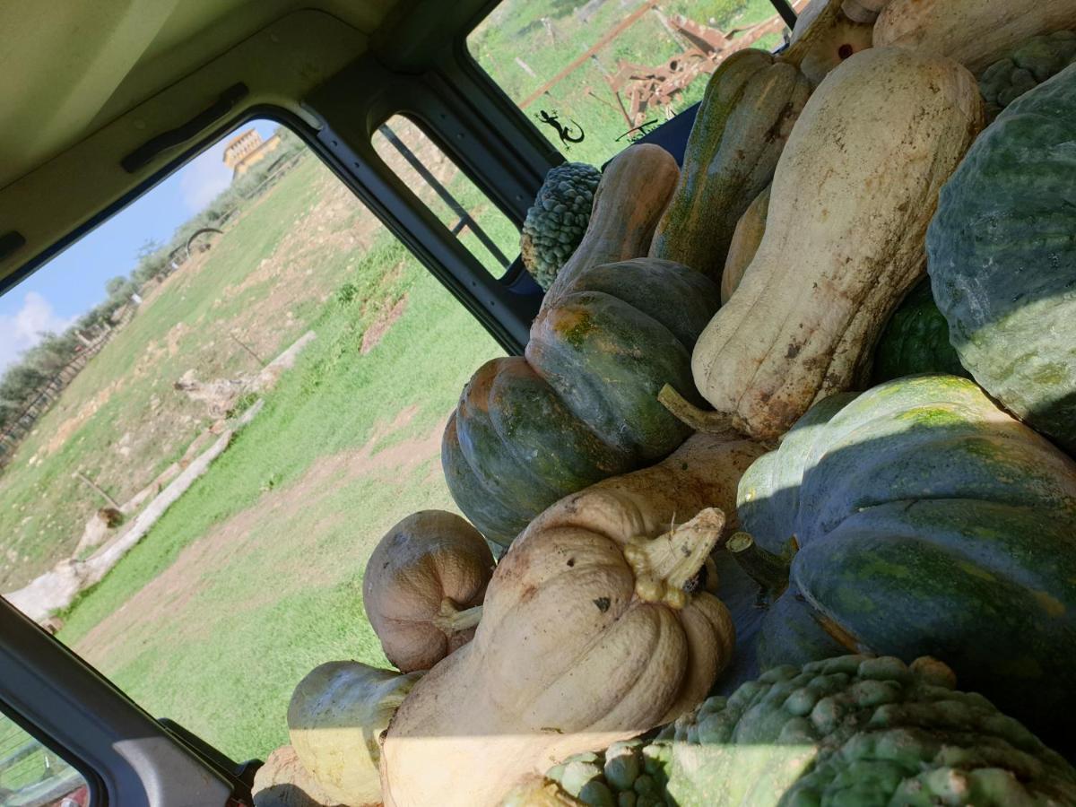 פייזולה Agriturismo Fattoria Di Maiano מראה חיצוני תמונה